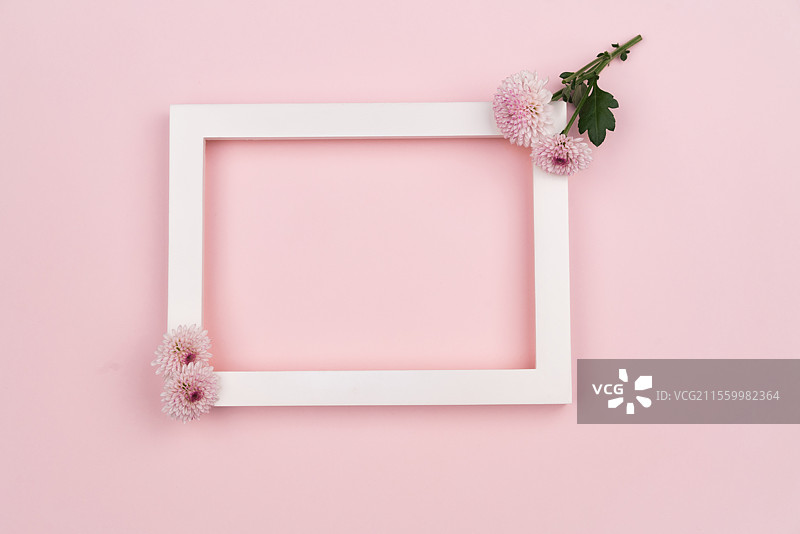 鲜花与相框图片素材
