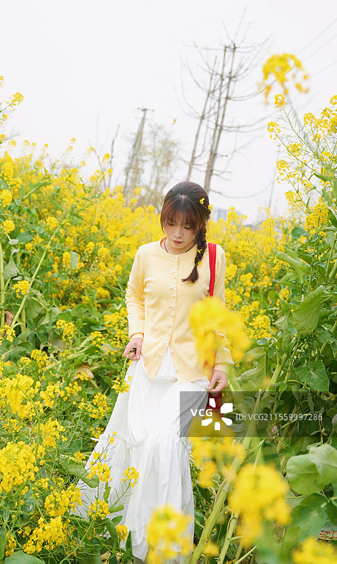 漫步春日花海图片素材