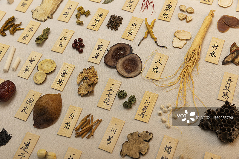 多种中药材（中草药）大全静物图片素材