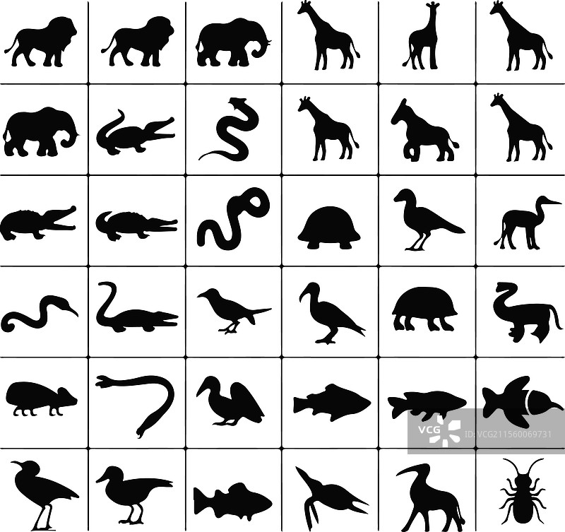 野生动物和动物剪影合集图片素材
