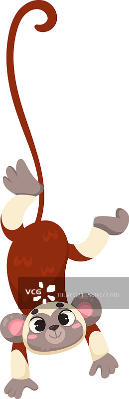 长尾猴作为热带动物和野生动物图片素材