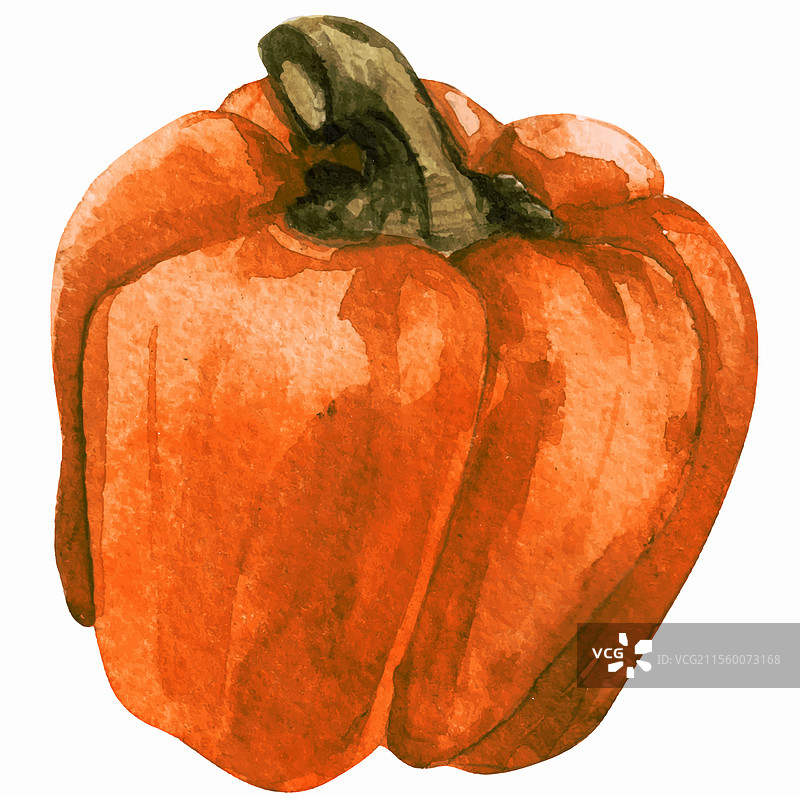水彩画的甜椒蔬菜图片素材