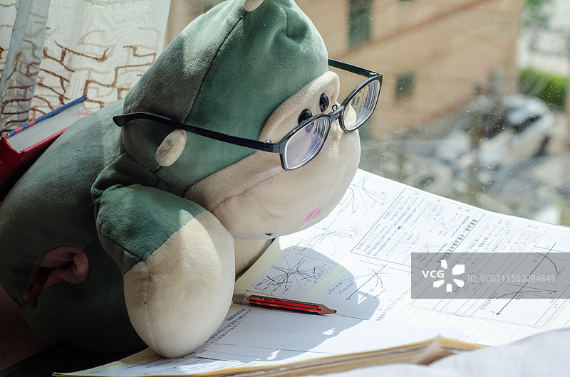戴眼镜玩偶趴在学习资料上解题图片素材