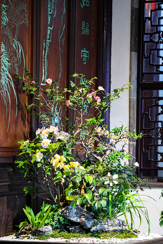 春天苏州园林之留园古典私家园林风光五峰仙馆楠木厅冠云峰等组图图片素材