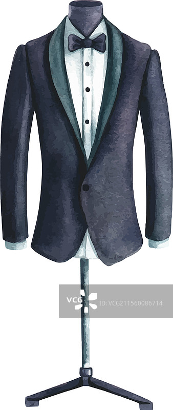 男士燕尾服配领结和扣领衬衫图片素材