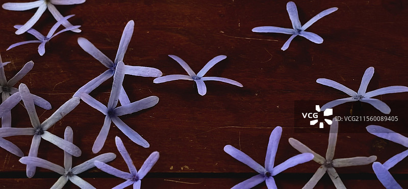 木桌上的紫色花朵的高角度视图图片素材