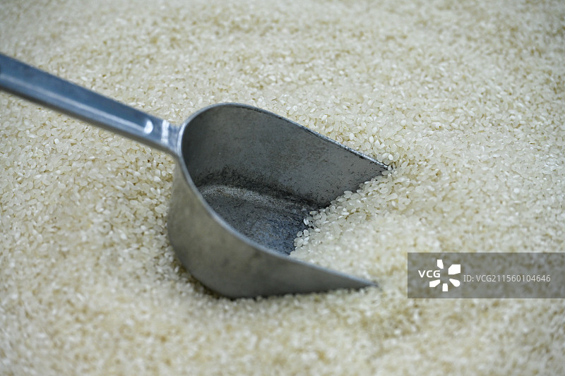 待售卖的大米图片素材