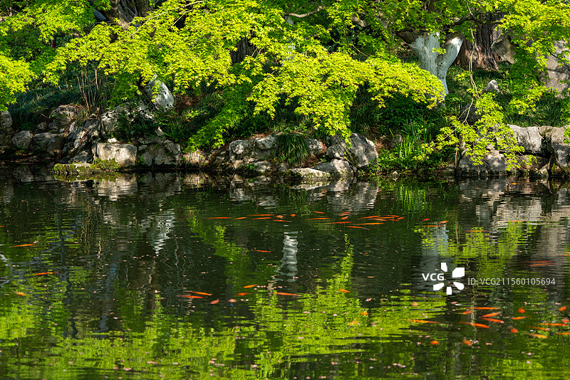杭州西湖园林风光图片素材