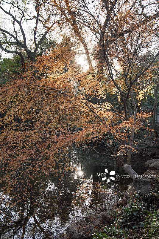 杭州西湖园林风光图片素材