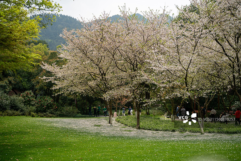 杭州西湖风光图片素材
