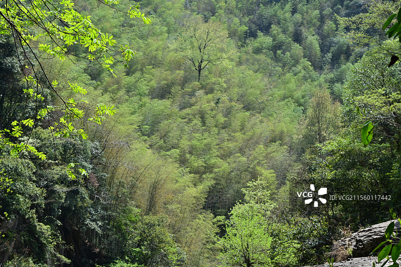 诸暨五泄瀑布禅寺图片素材