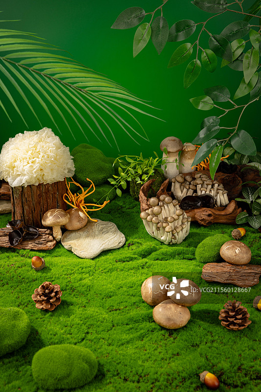 菌菇类场景搭建图片素材