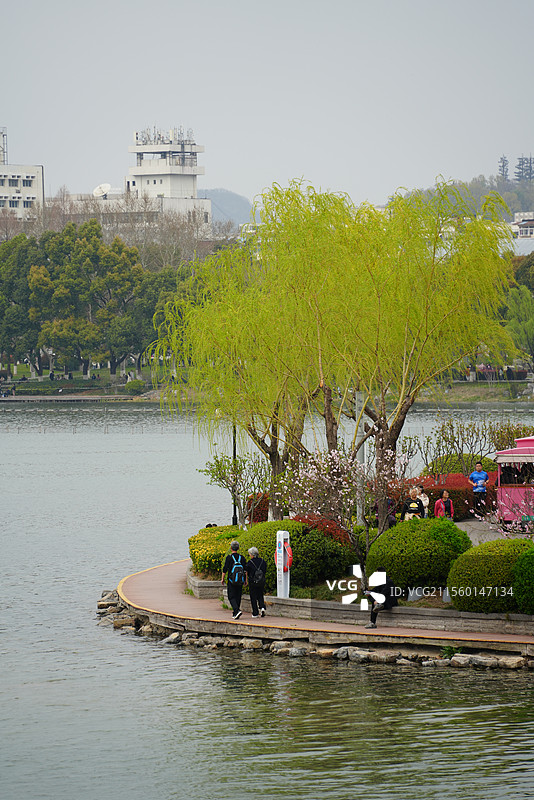 春日玄武湖图片素材