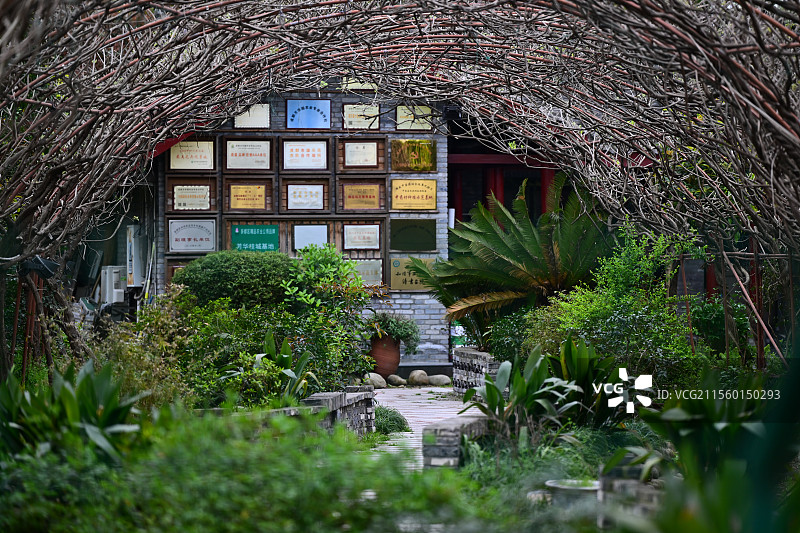 芳华微马公园，紫藤长廊图片素材