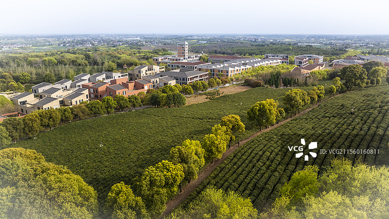 南京高淳国际慢城吕村油菜花图片素材