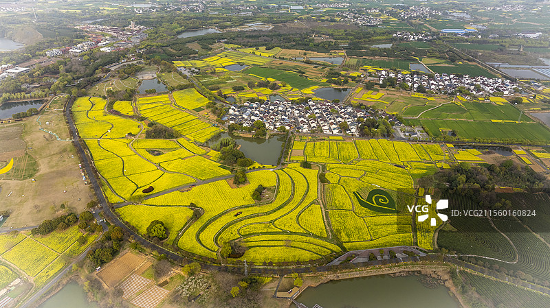 南京高淳国际慢城吕村油菜花图片素材