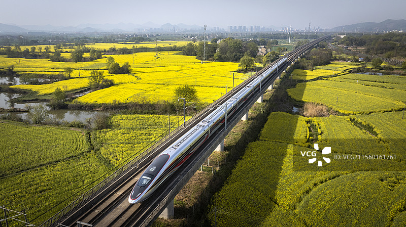 高铁驶过油菜花海图片素材