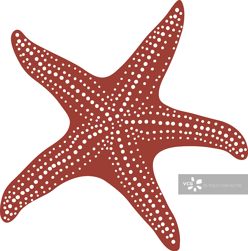 手绘的海岸海星图片素材