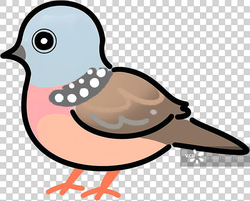 珠颈斑鸠  鸟动物 可爱线条卡通元素图标图片素材