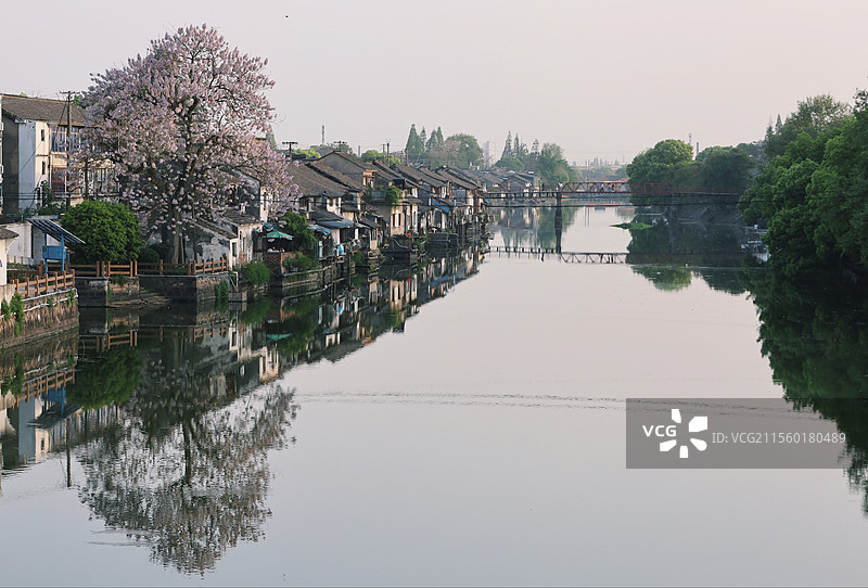 浙江嘉兴 乌镇南栅图片素材