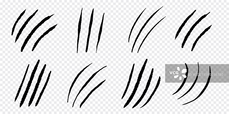 爪痕轮廓，猫或野生动物的划痕图片素材