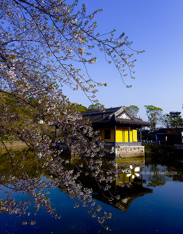 春日鼋头渚图片素材