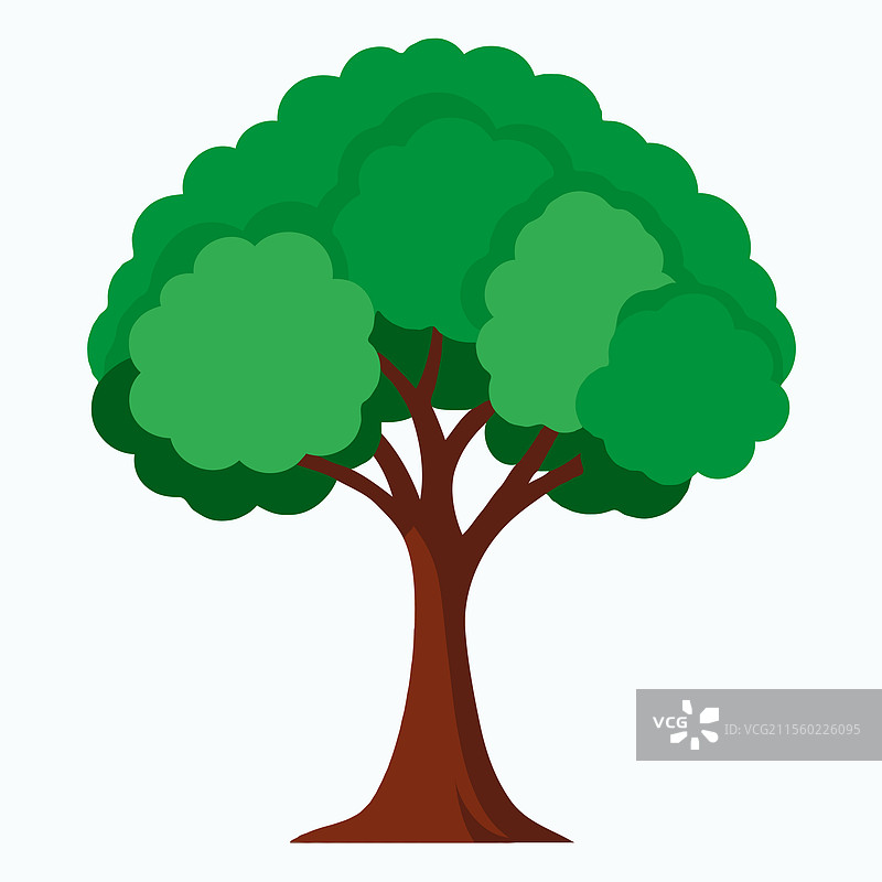 一棵大树在白色背景上图片素材
