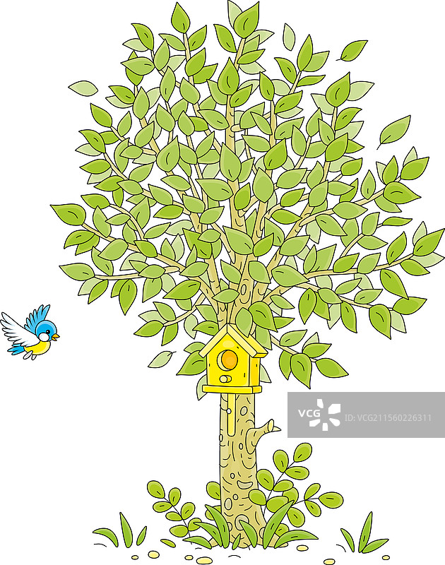 树上的鸟屋图片素材