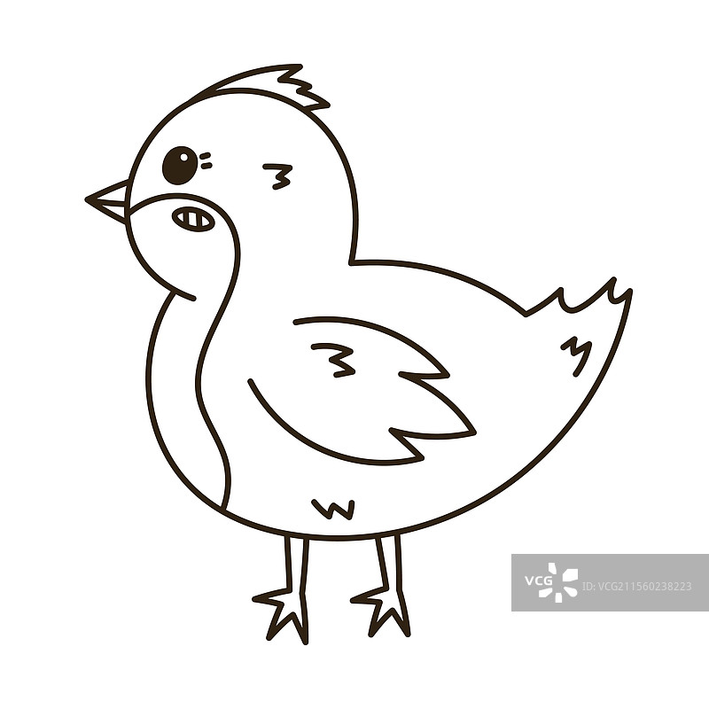 可爱的线条涂鸦复活节小鸡侧面图图片素材