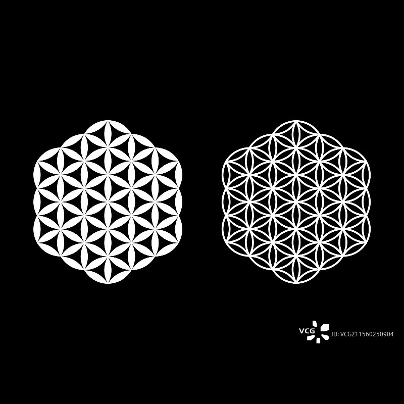 生命之花神圣几何图标白色套装图片素材