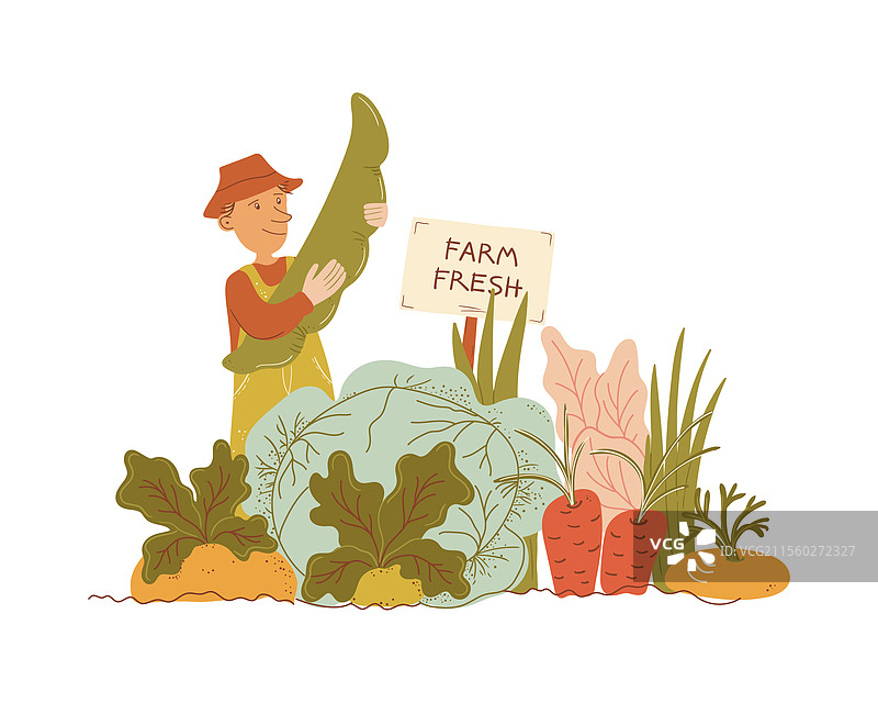 丰盛的花园孤立海报图片素材