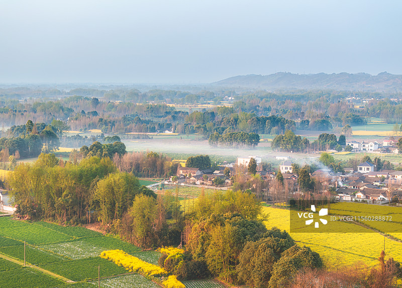 中国四川成都崇州乡村春季油菜花航拍图图片素材
