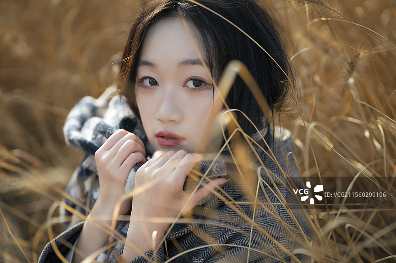 芦苇中的回眸图片素材