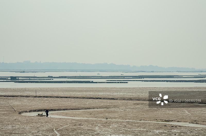 北海市滩涂上的赶海人图片素材