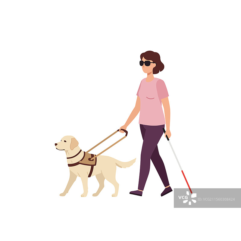 女性与导盲犬和手杖一起行走图片素材