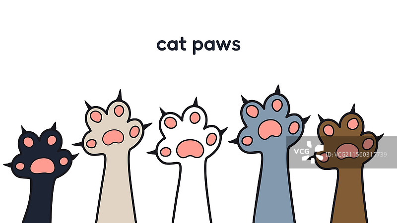 猫爪排成一行图片素材