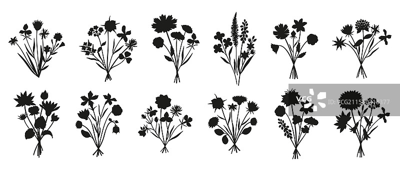 一大套野花花束剪影图片素材