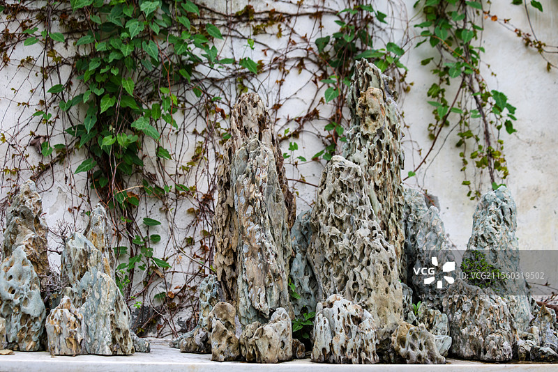 苏州园林留园里的又一村盆景组图图片素材