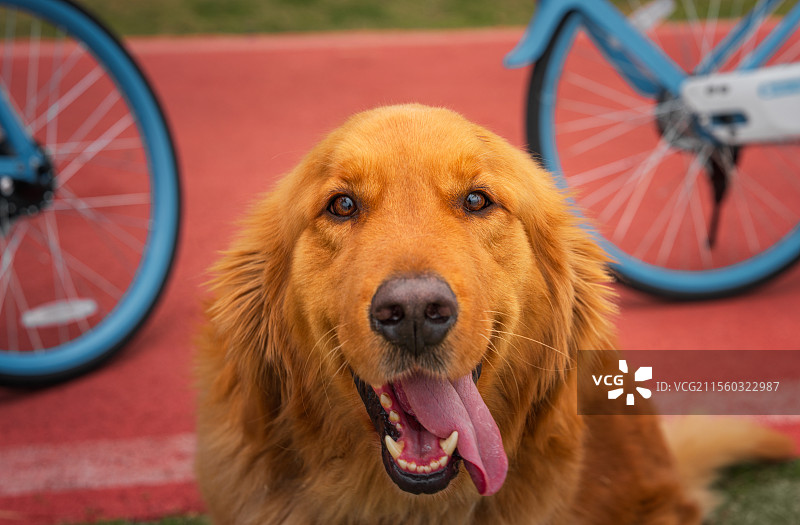 微笑天使图片素材