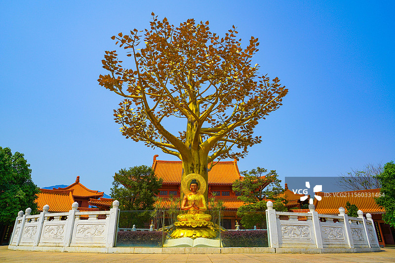 河源，福源寺，佛教寺庙之美！图片素材