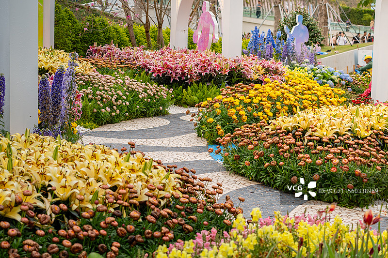 深圳笔架山公园粤港澳大湾区花展的花园路图片素材