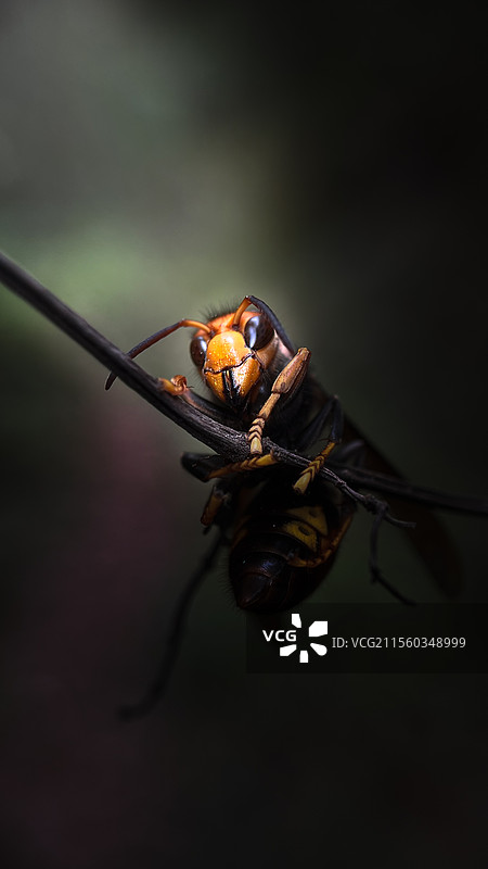 抱住我的神器图片素材