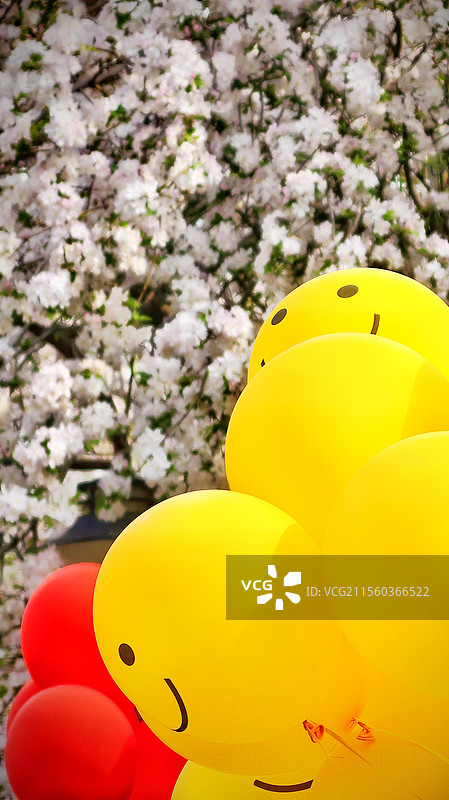 海棠树下的微笑图片素材