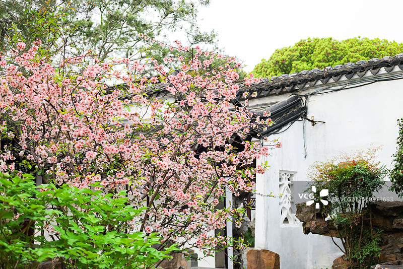 苏州园林网师园殿春簃涵碧泉冷泉亭图片素材