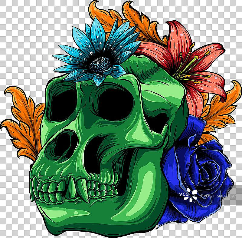 彩色猴子头骨的绘画图片素材