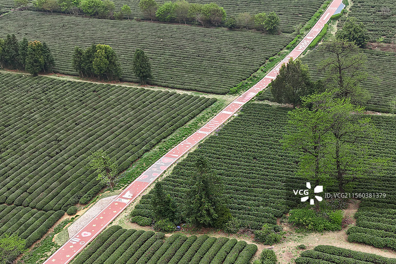 无锡宜兴龙池山自行车公园美景图片素材