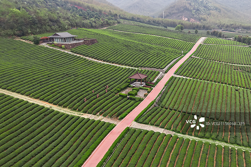 无锡宜兴龙池山自行车公园美景图片素材