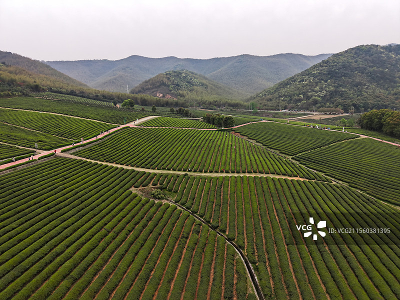 无锡宜兴龙池山自行车公园美景图片素材