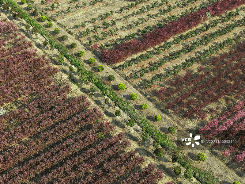 无锡宜兴龙池山自行车公园美景图片素材
