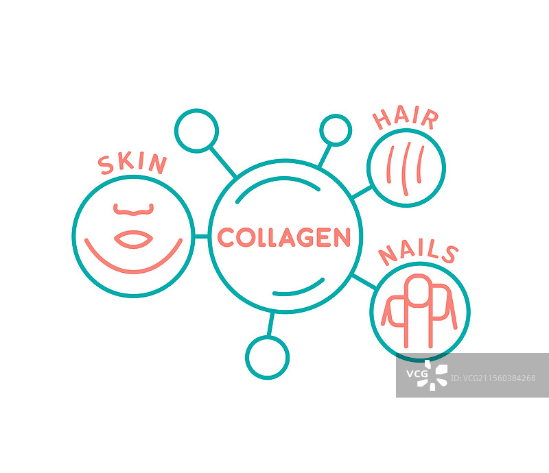 指甲、皮肤和头发的胶原蛋白线条图标图片素材